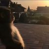 quinntits