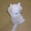 dii_puc
