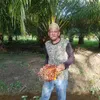 pakmeon80