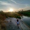 maayan_levy08