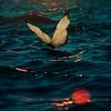 hussain_nufal