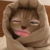 p_zyen_kutewaaa