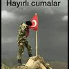 mahmutalbayrak43