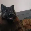 sparta_ero