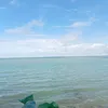 .tiktok.thaonguyen