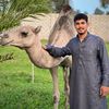 aboo_shaban