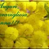 mariaantonietta752