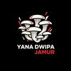 yanaajamur_id
