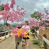 tthinhoang76