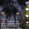 user7225325662995
