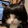 jin3zhu4an1kan1