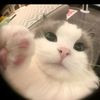 mady_58256