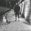zoran_911_