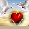 user1546059564178