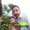 seedwahid