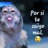 miguel911010