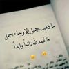 alneyadi69