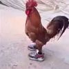yousef4u4