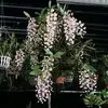 nhungchuchocuuho