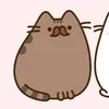 __babu____