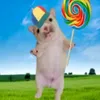 fiammaaah