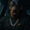 timdogg33