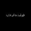 amira_8981