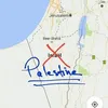 youssefbanini893