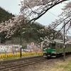 ty839526
