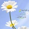 medhatkassem971