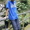 rhdyt17_