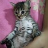 flsa_222