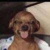 laughinglegendd