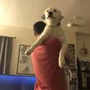 gillythek1d