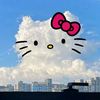sya_pinkyy