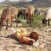 djalal19874