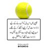 jani774504