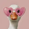 babyswift_13