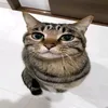 mr_tatoru