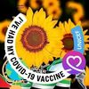 fatimahabu141