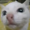 warururang
