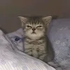 itsmewakokabalo