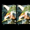 .sstxz