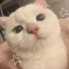 maiaysabelletanael