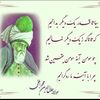 alizabethhussaini