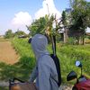 alvinf86