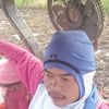 thikhamphrsaengngam9gmai