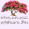 user5026000796278