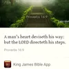 adwoatweneboa_2110