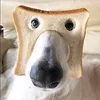 jakobusderglobus69